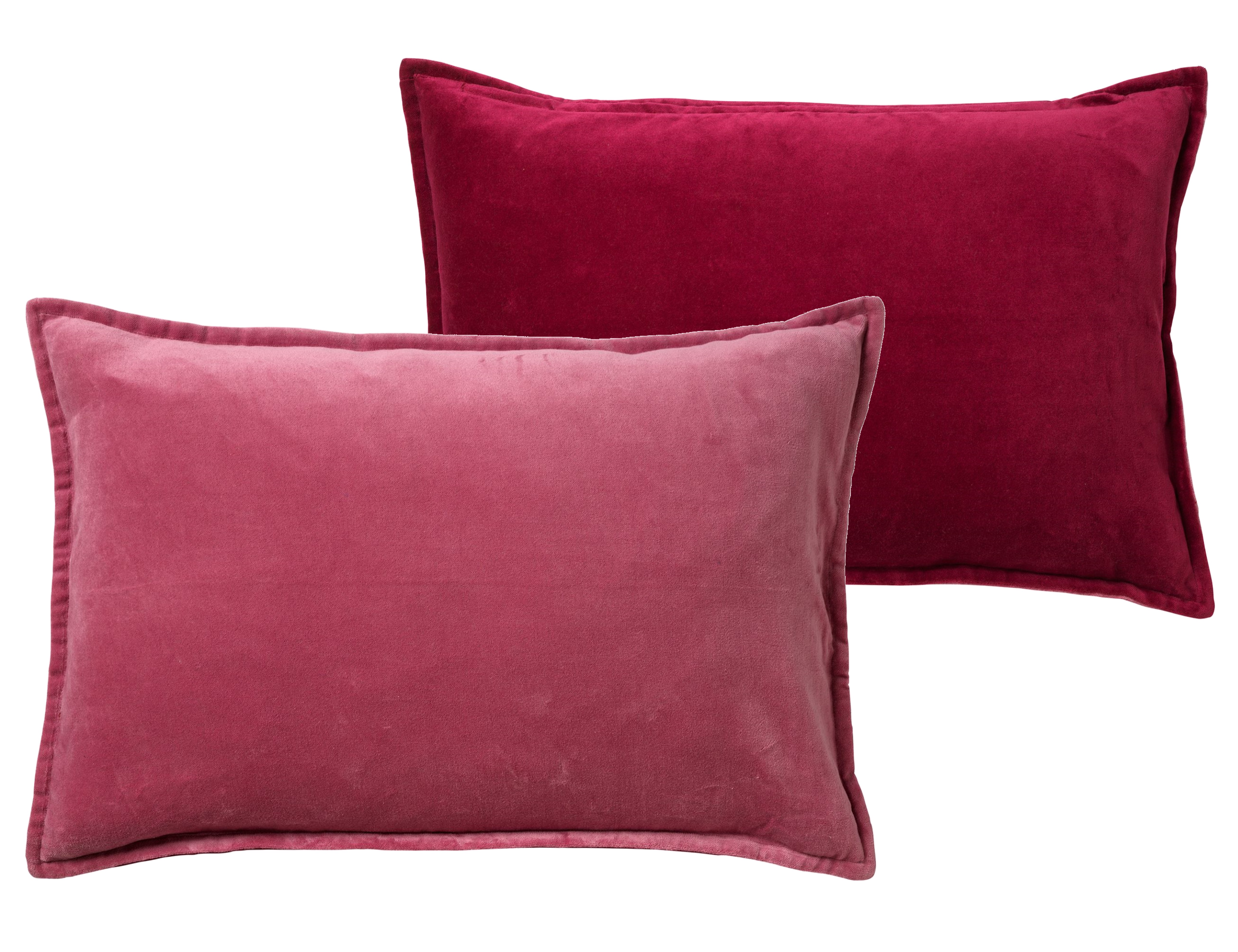 Verslinden Schijnen lippen FAY - Sierkussen velvet Red Plum 40x60 cm - roze | SIERKUSSEN |  DDL02201000274